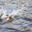 glomma_telneset_09 9