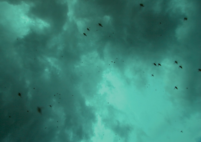 Loading Image