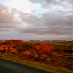 island06 10