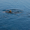 island06 108