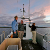 island06 11