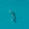 island06 112
