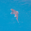 island06 113