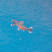 island06 114