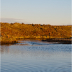 island06 123
