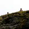 island06 85
