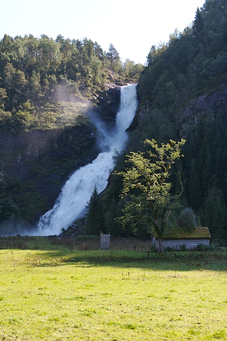 Loading Image
