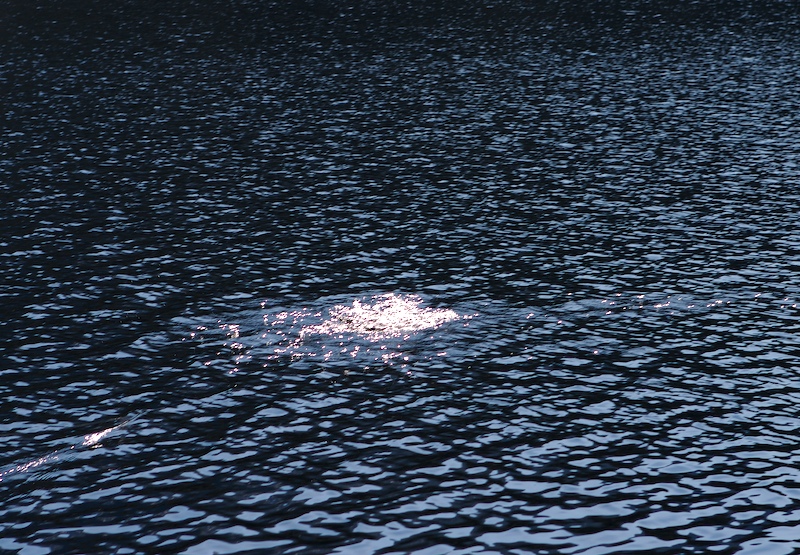 Loading Image