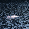 sunnfjordEC_2007_web 35